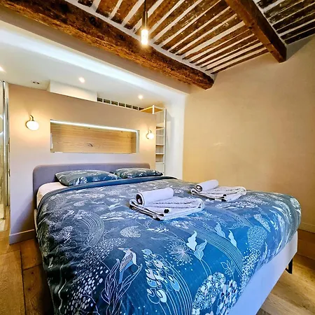 Holiday home La Fourmiliere - Dans Le Vieil Antibes