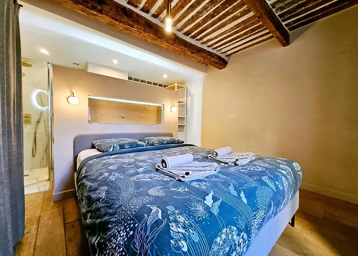 Casa de Férias La Fourmiliere - Dans Le Vieil Antibes